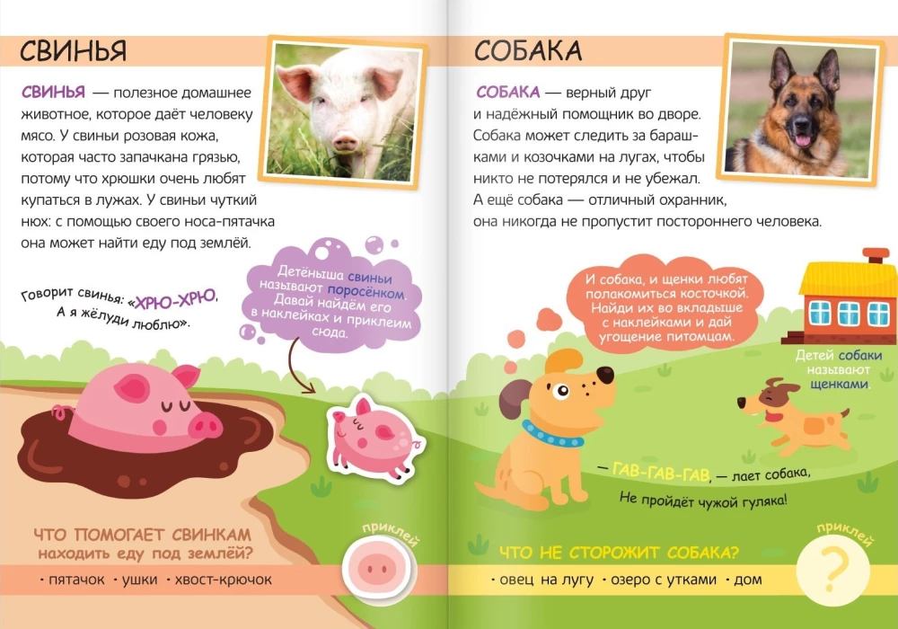 Sticker Book - My Farm. Read, Play, Discover
