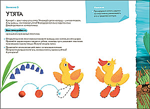 School of Seven Dwarfs. Workshop 2+ (set of 5 creative albums)