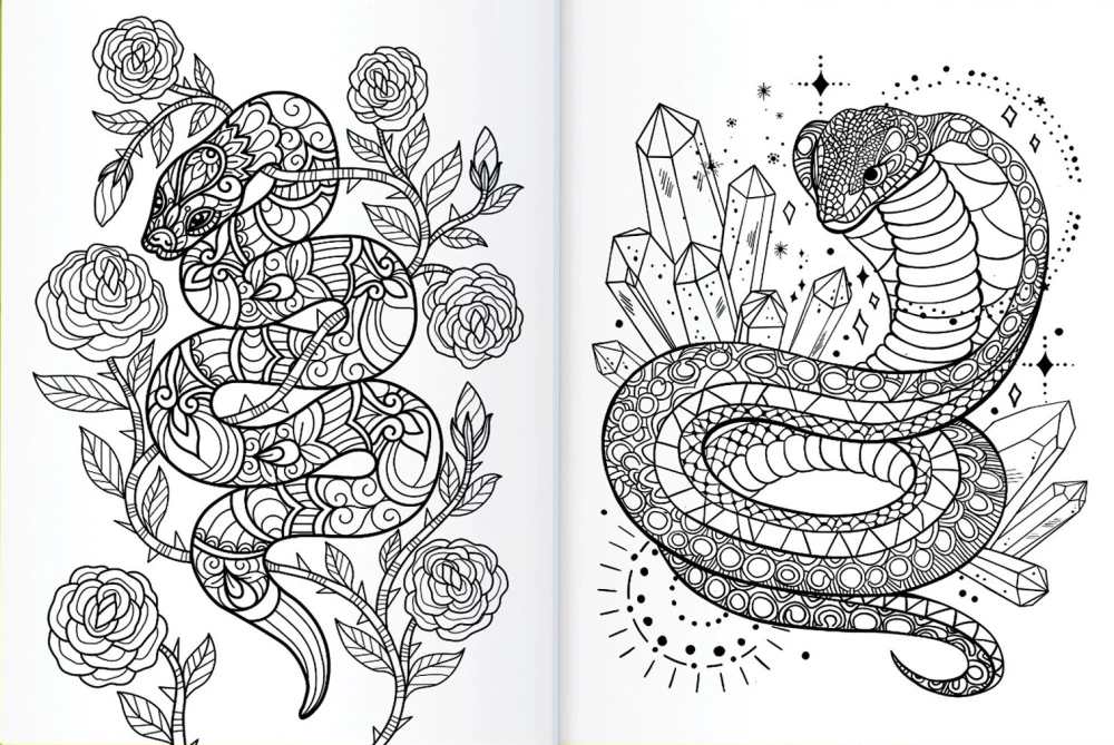 Coloring Book - Beautiful and Dangerous Snakes