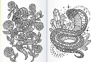 Coloring Book - Beautiful and Dangerous Snakes