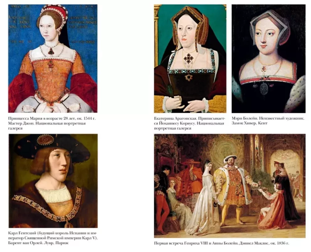 Hunting the Falcon. Henry VIII and Anne Boleyn: a Marriage that Overturned Foundations, Shook Europe, and Changed