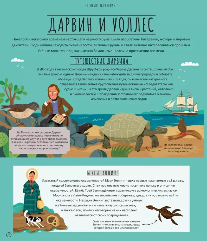 Wonders of Evolution. A Journey Through Time