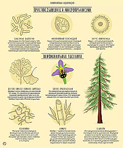 Wonders of Evolution. A Journey Through Time