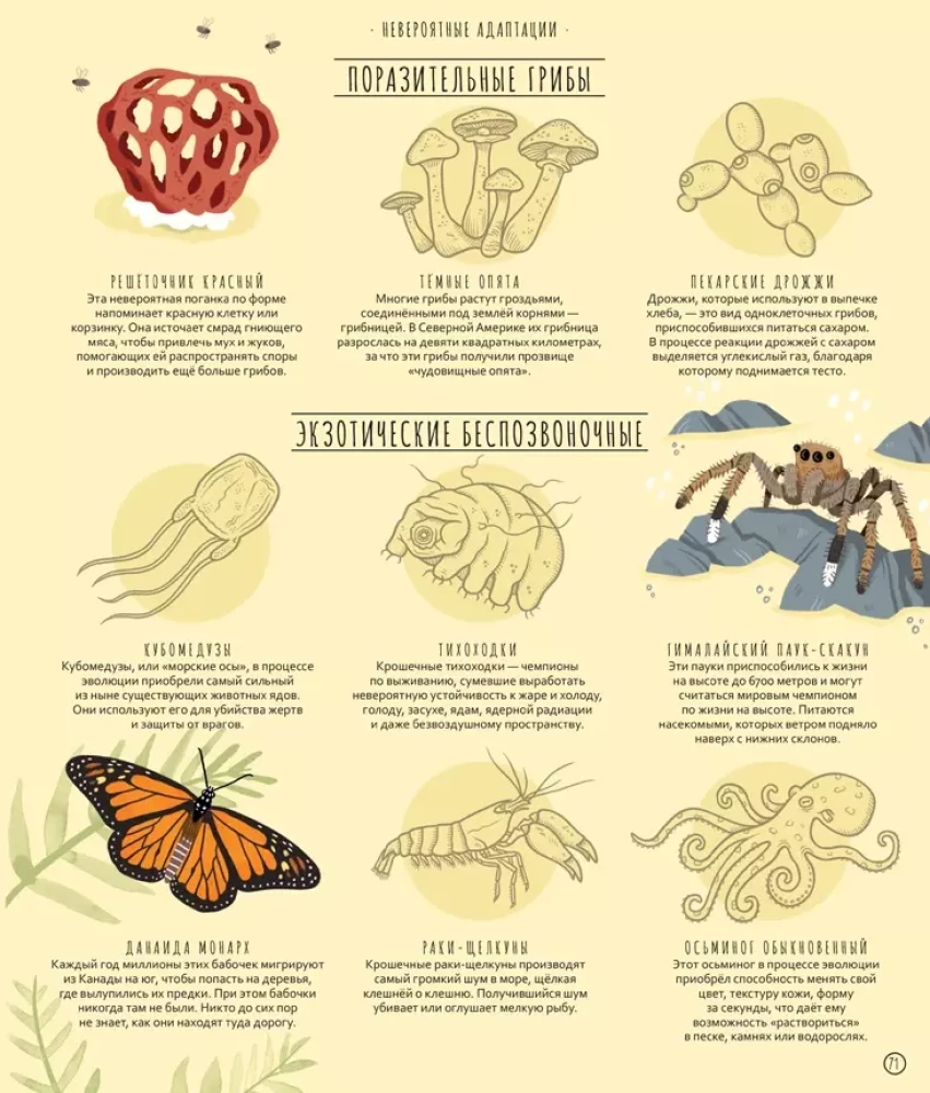 Wonders of Evolution. A Journey Through Time
