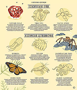 Wonders of Evolution. A Journey Through Time