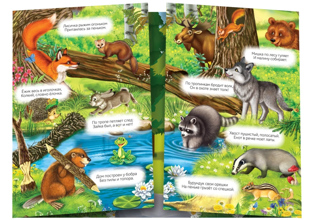 Reusable Stickers. Who Lives in the Forest