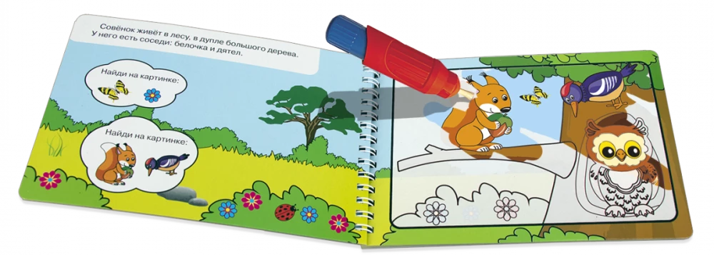 Reusable Coloring Book. Drawing with Water. Magic Coloring Book Forest Animals