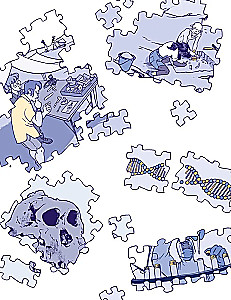 Journey Through Time. The Evolution of Humanity