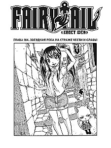 Fairy Tail. Volume 22