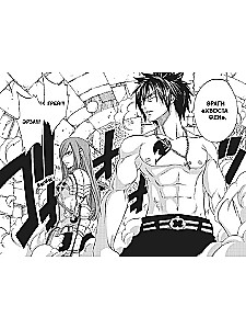 Fairy Tail. Volume 22