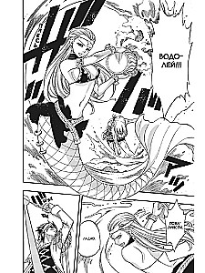 Fairy Tail. Volume 22