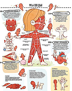 Secrets of the Human Body