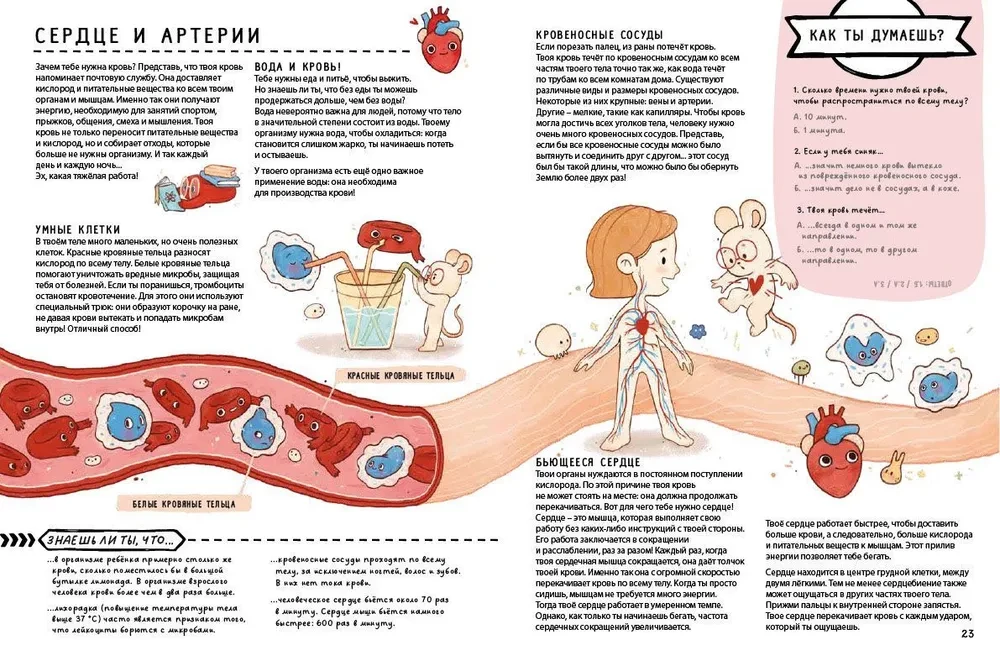 Secrets of the Human Body