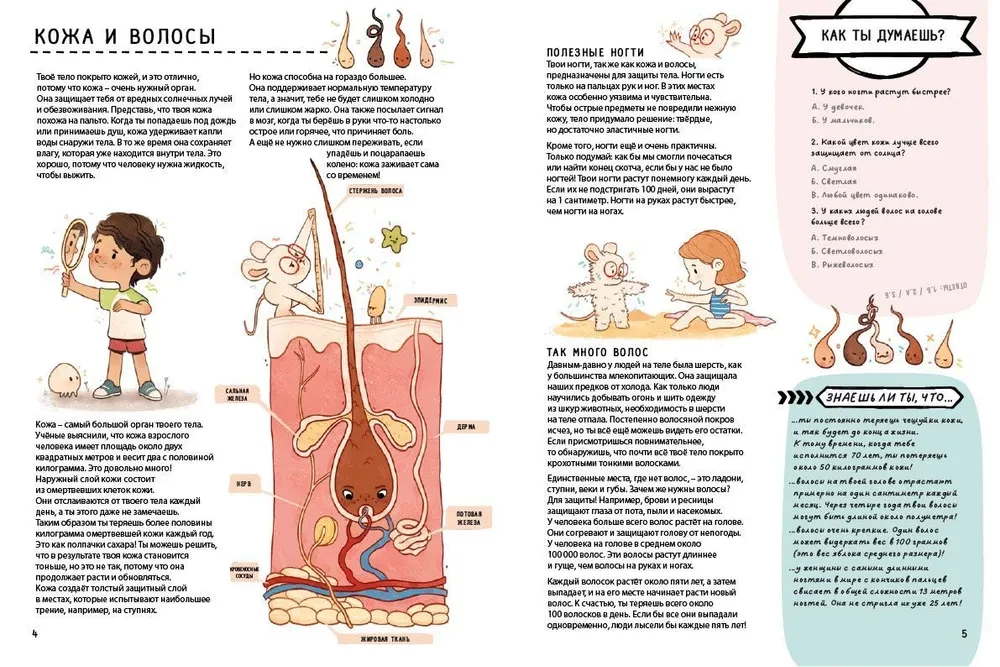 Secrets of the Human Body