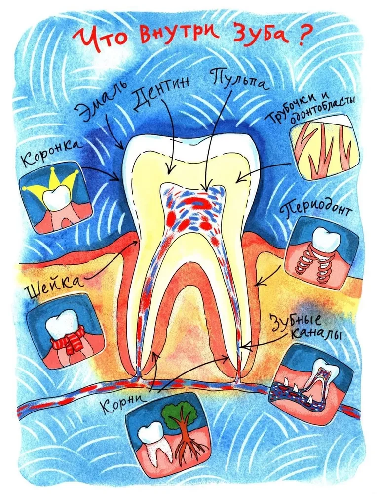 Tooth Book