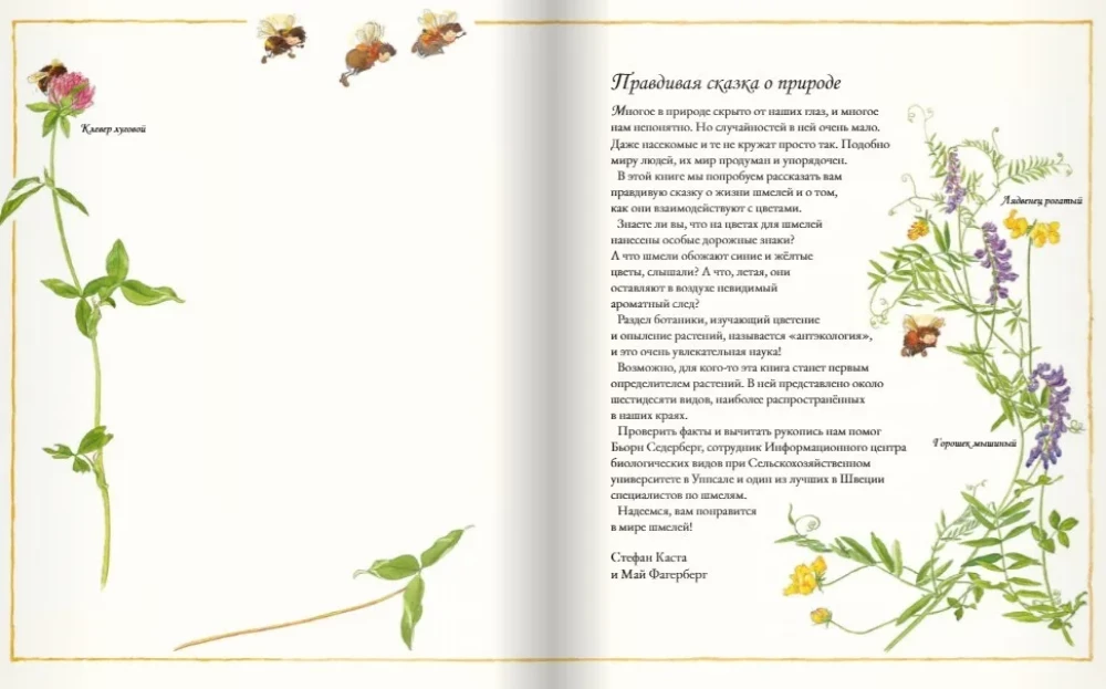 Цветочная книга шмеля
