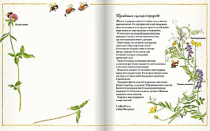 Цветочная книга шмеля