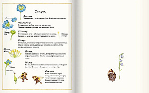 Цветочная книга шмеля