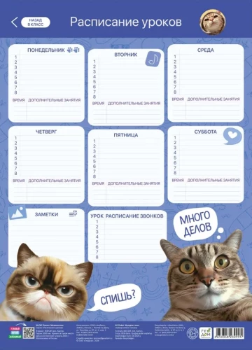 Class Schedule. Memokotiki