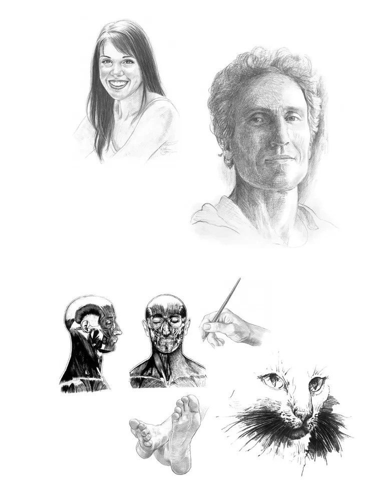 Anatomy for Artists