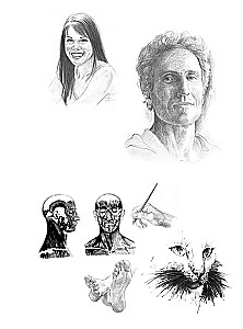 Anatomy for Artists