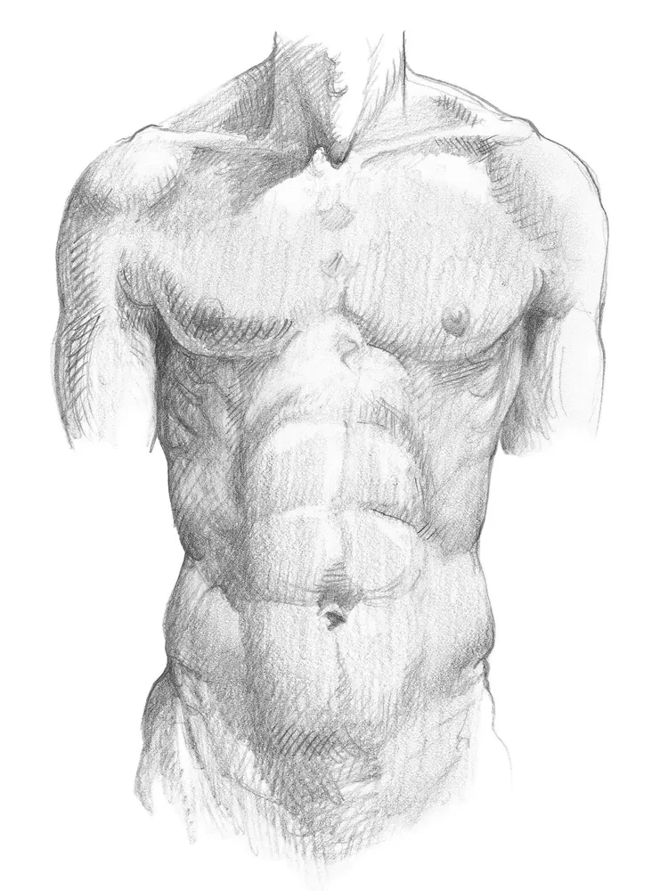 Anatomy for Artists