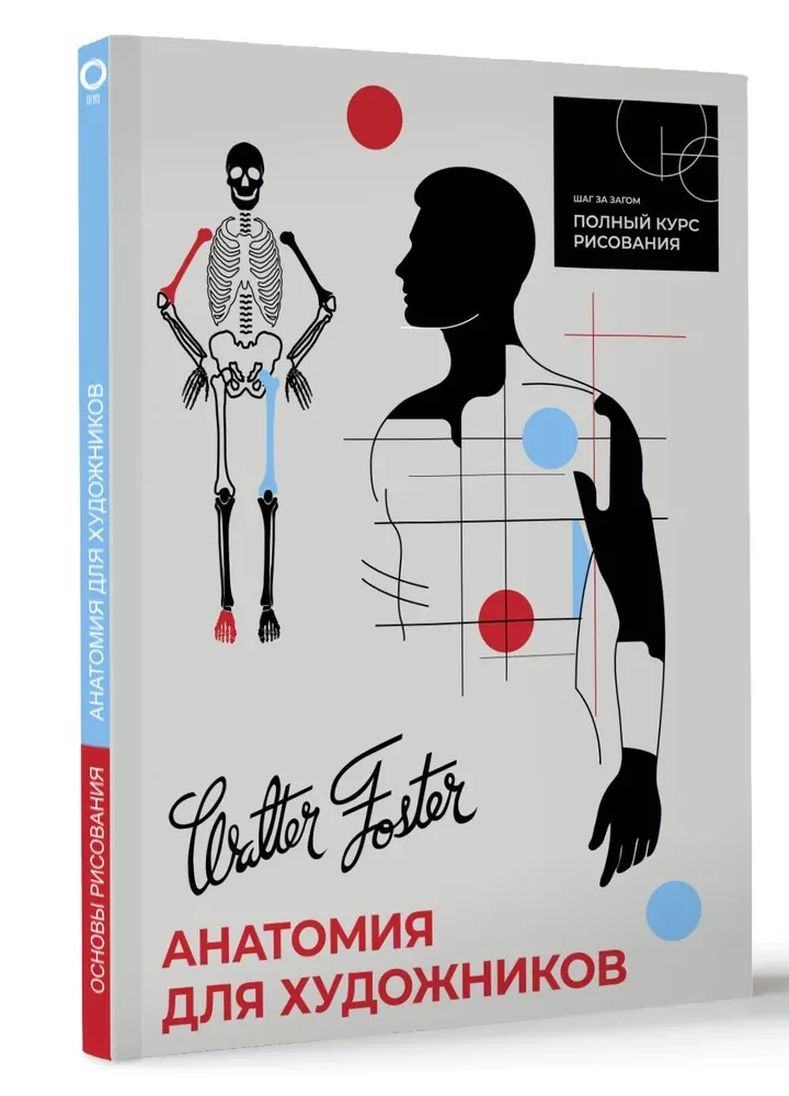 Anatomy for Artists