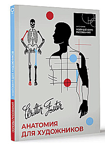 Anatomy for Artists