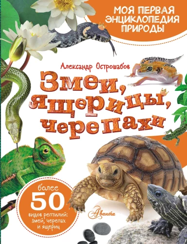 Schlangen, Eidechsen, Schildkröten