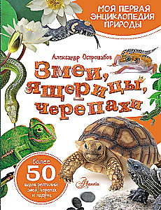 Schlangen, Eidechsen, Schildkröten