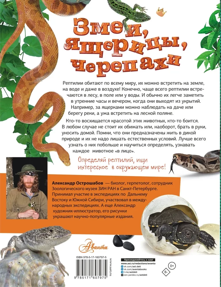 Schlangen, Eidechsen, Schildkröten