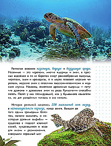 Schlangen, Eidechsen, Schildkröten