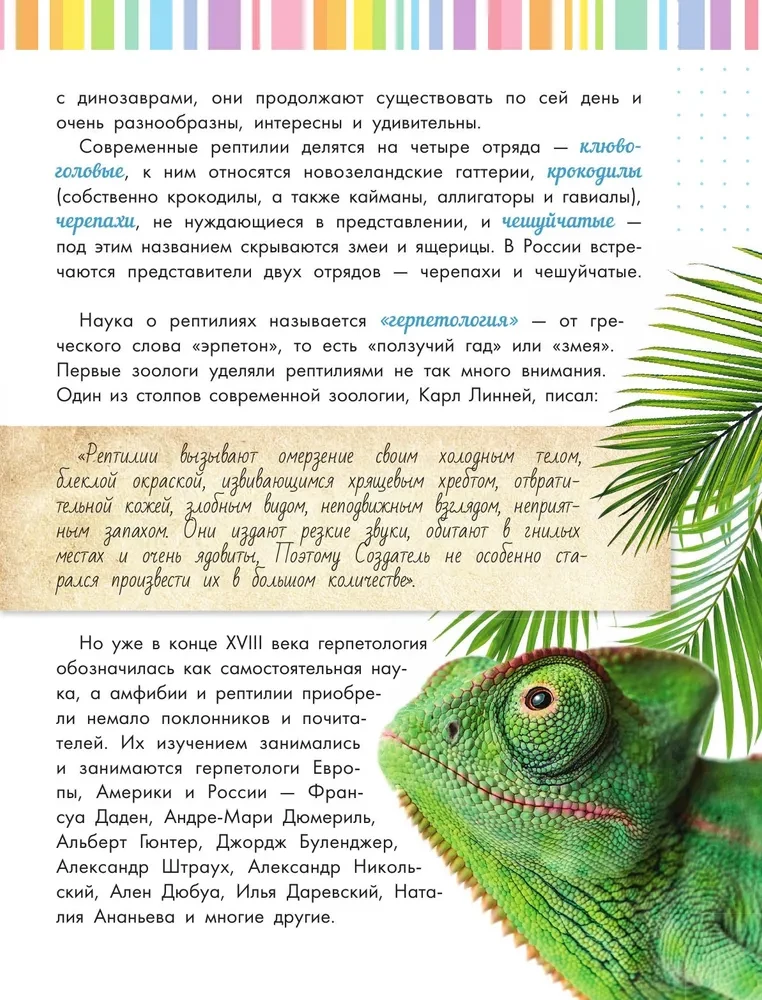 Schlangen, Eidechsen, Schildkröten