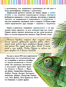 Schlangen, Eidechsen, Schildkröten