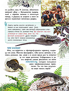 Schlangen, Eidechsen, Schildkröten
