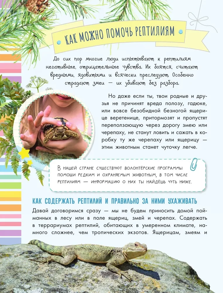 Schlangen, Eidechsen, Schildkröten
