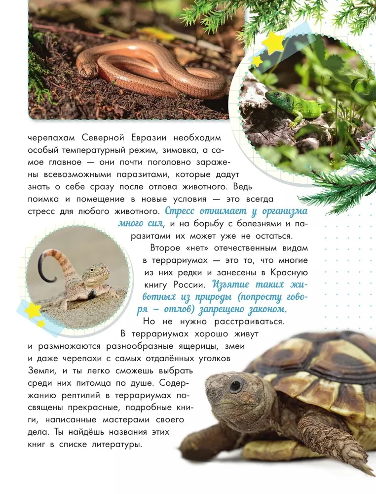 Schlangen, Eidechsen, Schildkröten