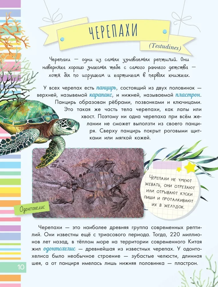 Schlangen, Eidechsen, Schildkröten
