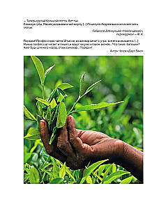 Tea. History, varieties, preparation, tasting, tea ceremony