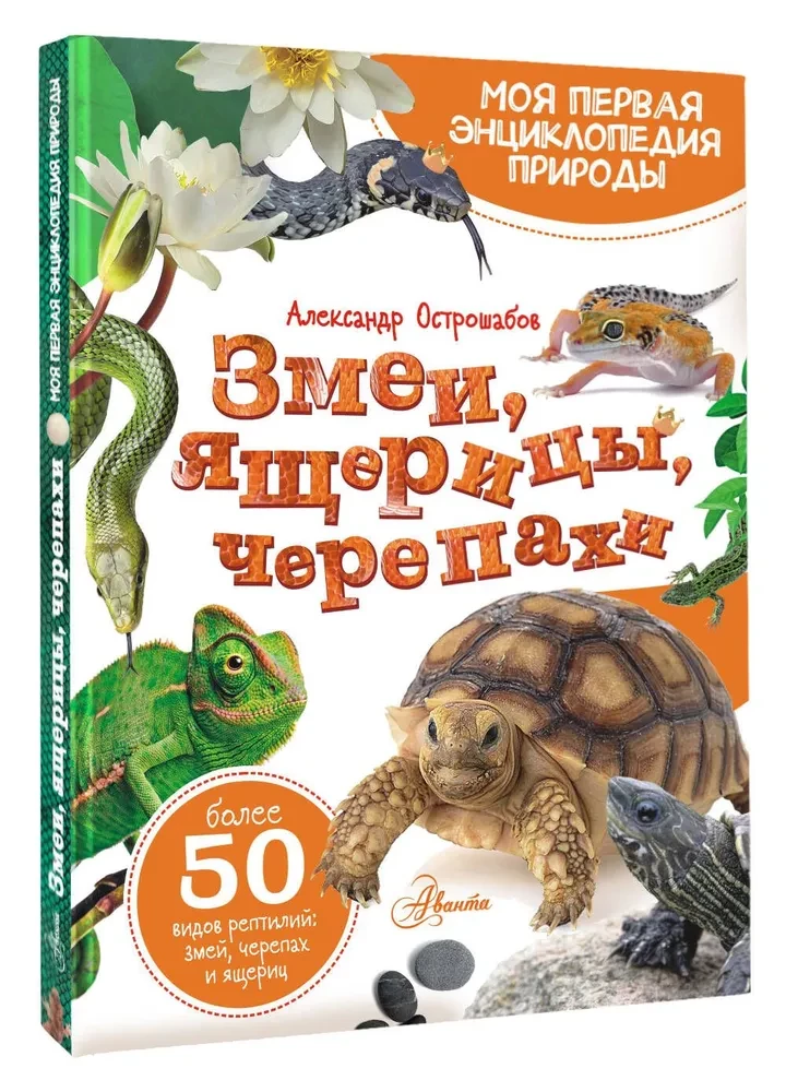 Schlangen, Eidechsen, Schildkröten