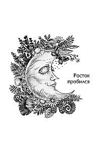 Natural Oracle