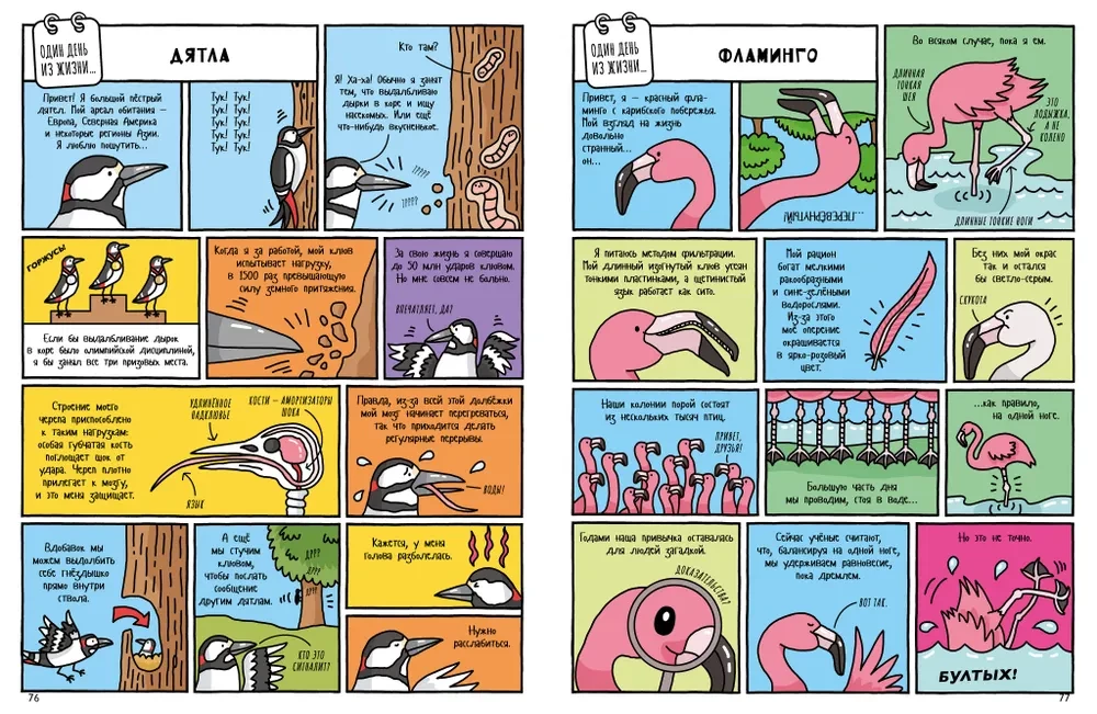 Natural History in Comics