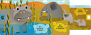 Who is hiding? In Africa. Pull and find out
