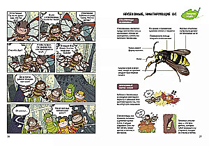 InsectComics. Incident in the Bee Hive