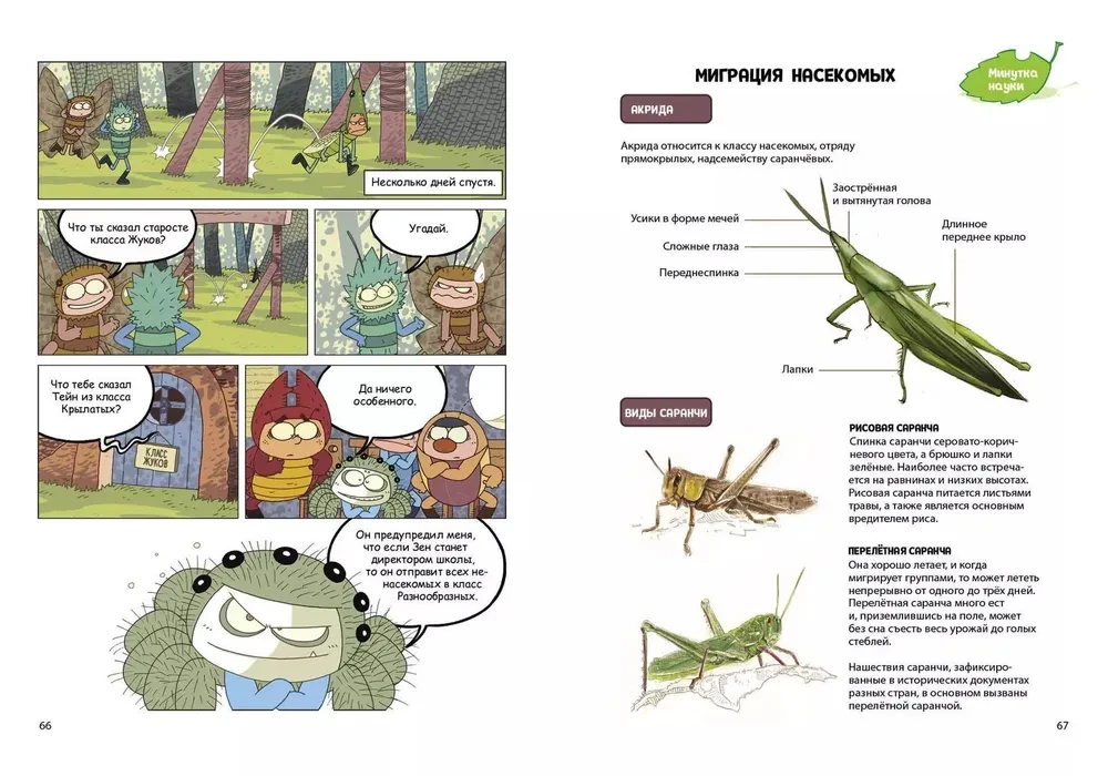 InsectComics. Incident in the Bee Hive