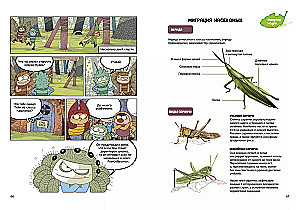 InsectComics. Incident in the Bee Hive