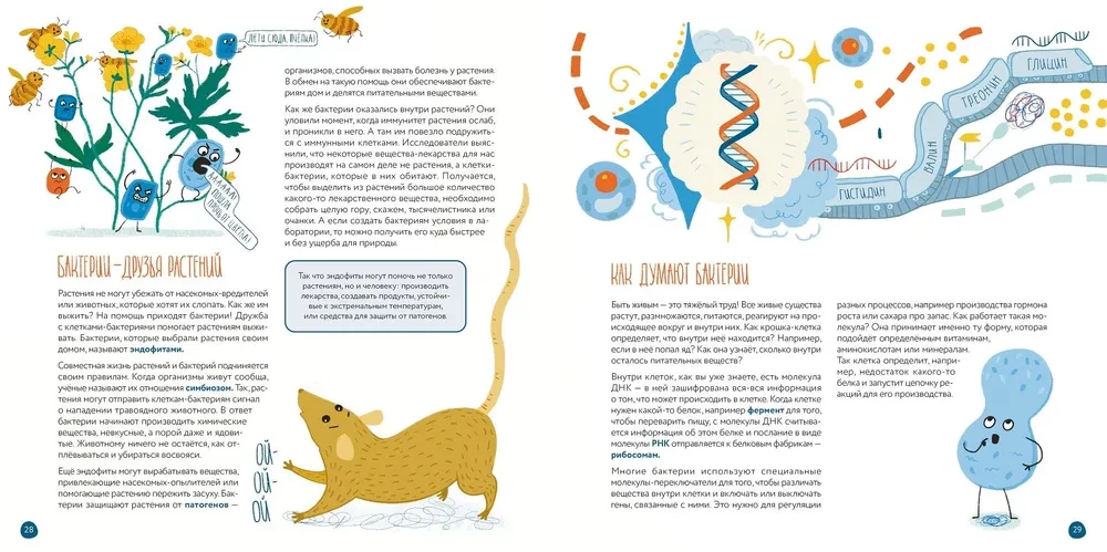 Cells: what all living things are made of.