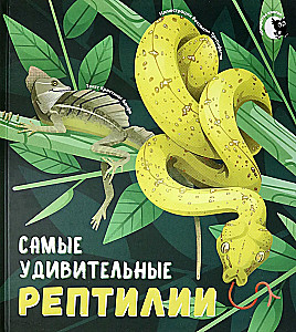 The Most Amazing Reptiles