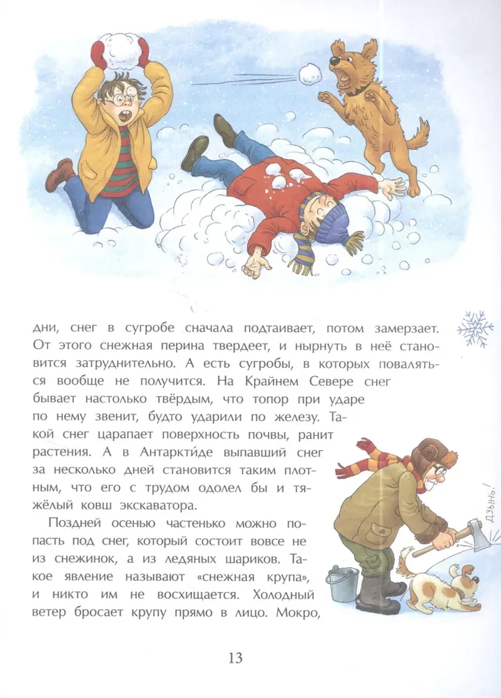 The Book About Snowflakes