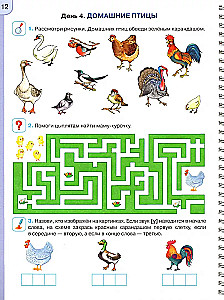 Preparation for School. Workbook